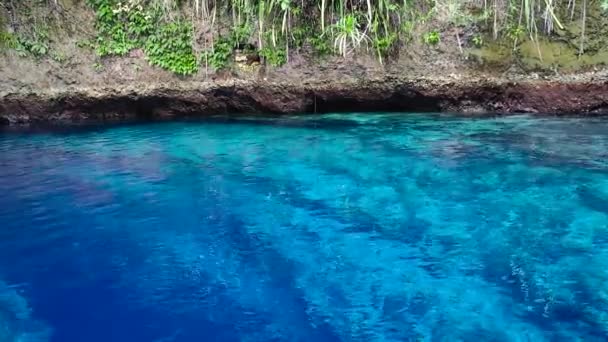 Zaczarowana Rzeka Otoczona Dżunglą Hinatuan Surigao Del Sur Filipiny — Wideo stockowe
