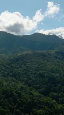 Camiguin Adası 'nda yeşil ormanı ve ormanı olan bir dağ. Filipinler. Dikey video.