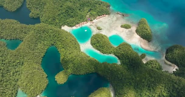 Vista Aérea Baía Das Lagoas Tropicais Nas Ilhas Tropicais Sohoton — Vídeo de Stock