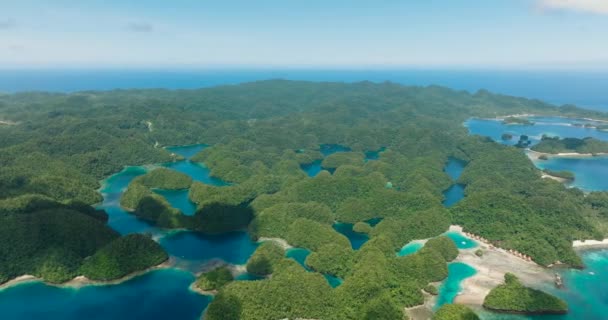 熱帯雨林の丘とラグーンのプールの自然な構成 澄んだ海水のサンゴ バカス グランデ島 ミンダナオ フィリピン — ストック動画