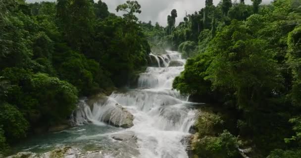 Ovanifrån Vackert Vattenfall Grön Skog Den Högsta Aliwagwag Faller Filippinerna — Stockvideo
