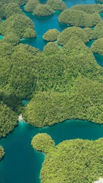 Eau Turquoise Transparente Sous Forme Lagune Piscines Paysage Marin Avec — Video