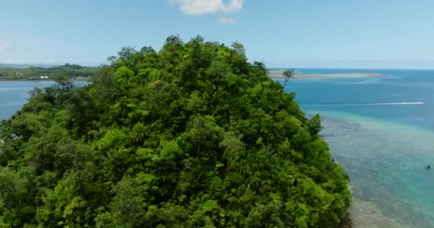 Yeşil Ağaçlar Pantolonlar Hiyor Hiyoran Adasının Üzerinde Britanya Adaları Surigao — Stok video