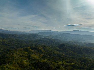 Filipinler 'in dağlık bölgesinde tropik bir orman. Mindanao..