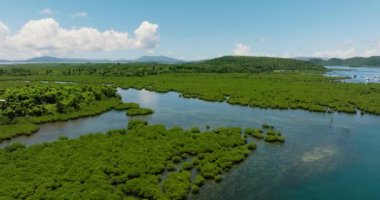 Surigao del Norte 'deki güzel yağmur ormanları ve mangrovlar. Mindanao, Filipinler.