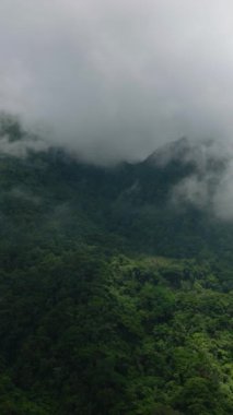 Dağ ormanı ve ormanın üzerindeki bulutlu manzara. Camiguin, Filipinler. Dikey video.