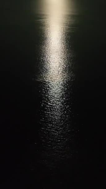 Pista Lunar Superficie Del Agua Vista Nocturna Mar Vertical — Vídeos de Stock