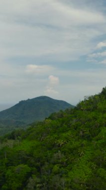 Tarım arazisi ve yeşil ormanlı dağların havadan görünüşü. Mindanao, Filipinler. Dikey video.