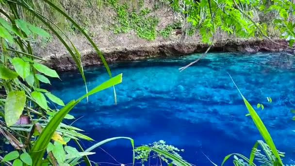 Блакитна Вода Зачарованій Річці Оточена Зеленими Рослинами Хінато Сурігао Дель — стокове відео