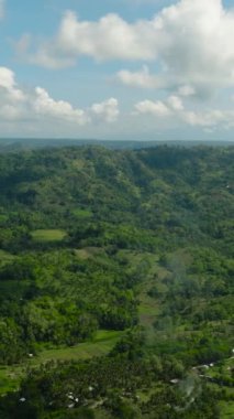 Tropikal Dağ manzaralı yağmur ormanı ve ormanlı. Mavi gökyüzü ve bulutlar. Lanao del Norte. Mindanao. Filipinler. Dikey video.