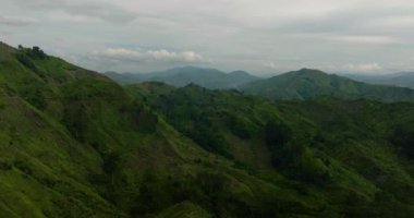 Yeşil tepeler ve dağların yamaçlarında her daim yeşil bitkiler var. Mindanao, Filipinler.