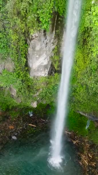 Katibawasan Falls Camiguin Island Philippinen Vertikales Video — Stockvideo