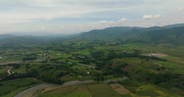 丘と緑の森がある山 川に流れる農地と水 ミンダナオ フィリピン — ストック動画