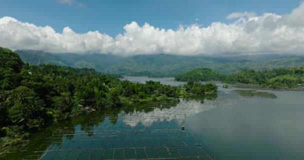 Двигаясь Вперед Рыбной Ферме Озере Себу Голубым Небом Облаками Минданао — стоковое видео