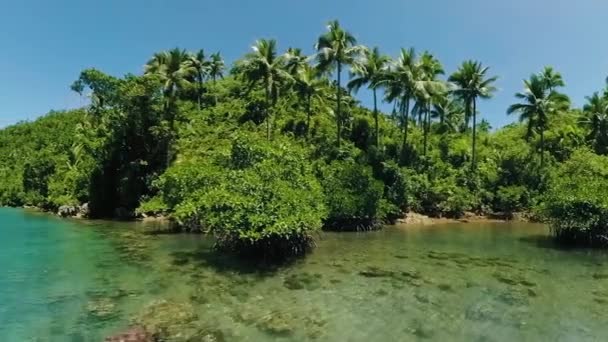 Yeşil Okyanus Suyu Olan Tropik Bir Ada Tagana Daki Tinago — Stok video