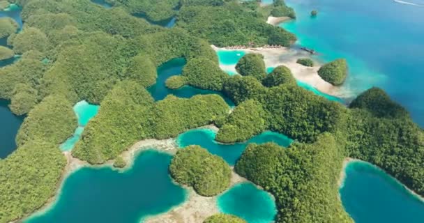 Vista Superior Belas Praias Naturais Sohoton Cove Ilha Bucas Grande — Vídeo de Stock