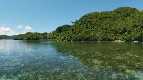 Turkuaz Mercanlarla Dolu Tinago Adası Tagana Surigao Del Norte Filipinler — Stok video