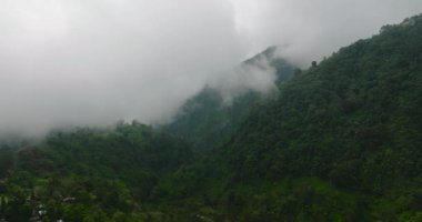 Dağlardaki sis ve bulutlarla kaplı tropikal orman ekosisteminin havadan görünüşü. Mindanao, Filipinler. Çevre kavramı.