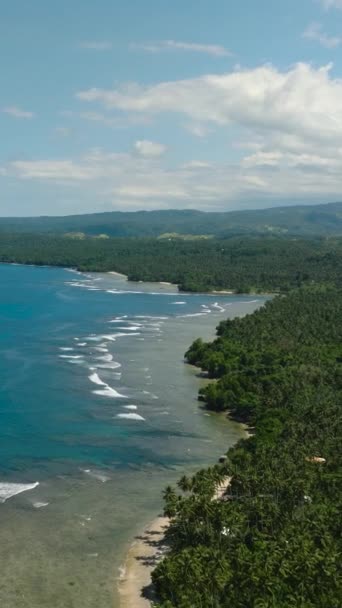 Vertikale Ansicht Des Schönen Blauen Meeres Mit Wellen Der Küste — Stockvideo