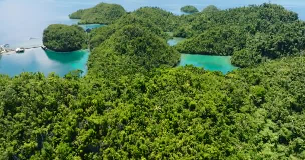 蒂纳戈岛上的热带山 森林秀丽 有珊瑚礁的泻湖 菲律宾棉兰老岛 — 图库视频影像