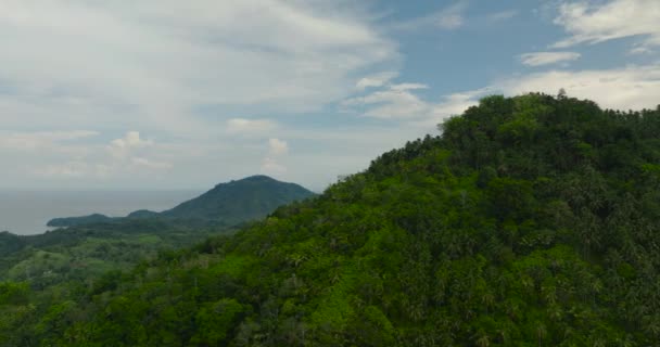 Vista Aérea Terras Agrícolas Montanhas Com Floresta Verde Mindanao Filipinas — Vídeo de Stock