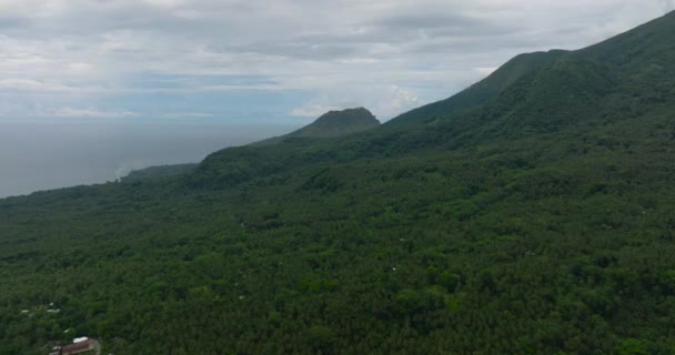 熱帯の山と熱帯雨林とジャングル カミーギン島 フィリピン — ストック動画