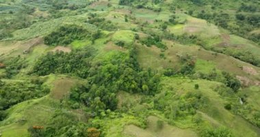 Çeltik tarlalı tarım arazisi. Yeşil tepeler ve orman, bitkiler ve orman. Mindanao, Filipinler.