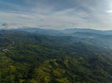 Yeşil ormanı olan bir dağ eyaleti. Mavi gökyüzü ve bulutlar. Mindanao, Filipinler.