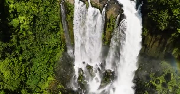 リムンダン滝に流れる急な水 緑の葉の上のカスケード ミンダナオ フィリピン — ストック動画