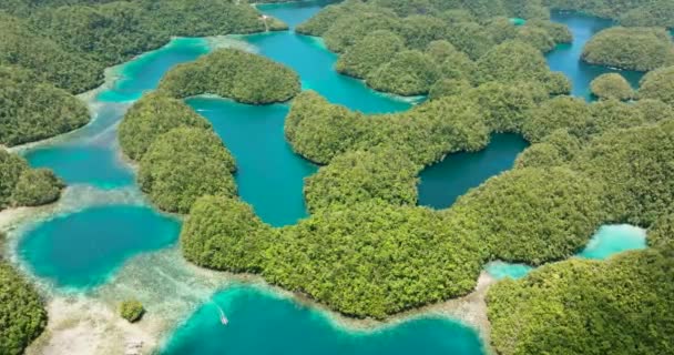 Vista Drone Grupo Lagoa Sohoton Cove Paisagem Marinha Ilha Bucas — Vídeo de Stock