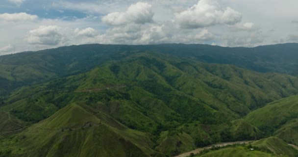 Свіже Зелене Листя Тропічні Рослини Дерева Покривають Гори Ворони Мінданао — стокове відео