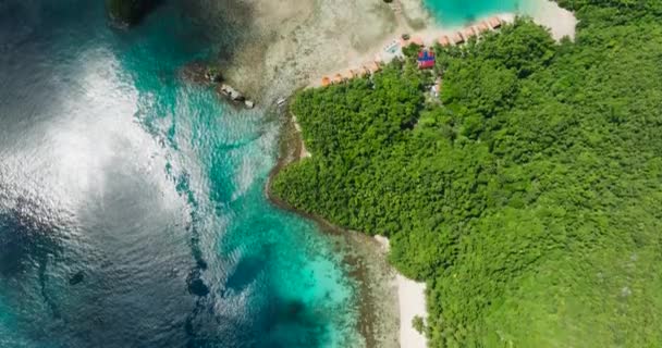 Beyaz Plajlı Palmiye Ağaçlı Güzel Bir Sahil Manzarası Turkuaz Okyanus — Stok video