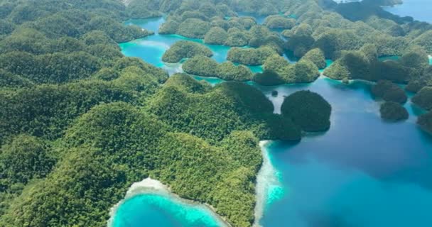 Racimo Islotes Pequeños Con Lagunas Sohoton Cove Bucas Grande Surigao — Vídeos de Stock