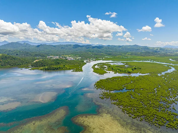 Şehrin yakınlarındaki güzel mangrovların hava manzarası. Turkuaz su, mavi gökyüzü ve bulutlar. Mindanao, Filipinler.