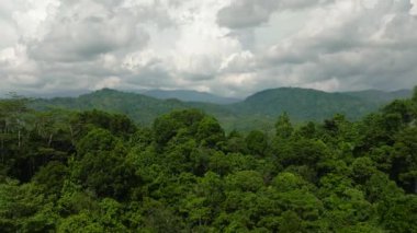 Dağ vadisi yeşil orman ve ormanlarla kaplıydı. Mindanao, Filipinler.