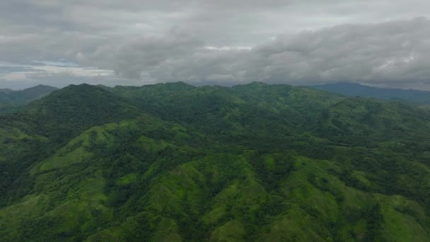 Bergssluttningar Täckta Med Regnskog Och Djungel Mindanao Filippinerna — Stockvideo