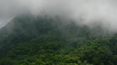Orman ve yeşillik bitkileriyle kaplı tropik dağ Camiguin Adası 'nda bulutlarla kaplı. Filipinler.
