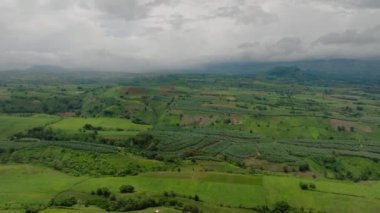 Pirinç tarlaları ve tropikal dağın üstündeki muz tarlaları. Mindanao, Filipinler.