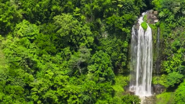 Şelaleleri Yeşil Ormanı Olan Tropik Bir Dağ Lasang Şelalesi Bukidnon — Stok video