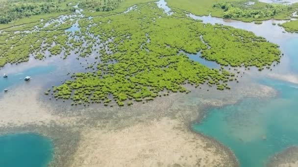 城镇附近红树林的无人机景观 菲律宾棉兰老岛 — 图库视频影像