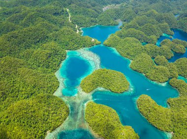 Yağmur ormanı tepeleri ve gölde bulutlu gök mavisi suyu olan adanın havadan görünüşü. Sohoton Koyu. Bucas Grande Adası. Mindanao, Filipinler.