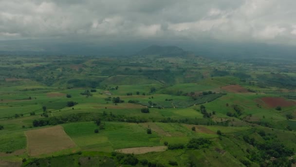 Terreno Cultivável Floresta Vegetação Bukidnon Mindanao Filipinas — Vídeo de Stock