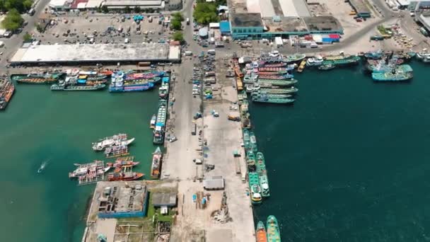 Färgglada Traditionella Fiskebåtar Fiskehamn General Santos Mindanao Filippinerna — Stockvideo