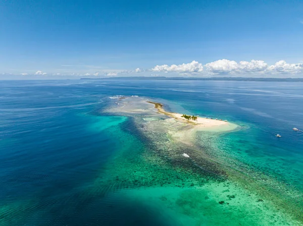 Hagonoy Adası 'ndaki palmiye ağaçlarının çok güzel bir görüntüsü. Britanya Adaları Grubu. Mindanao, Filipinler.