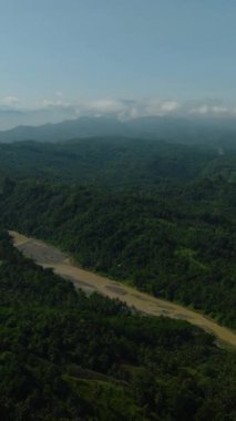 Nehrin tropikal dağın üzerindeki havadan görünüşü. Mavi gökyüzü ve bulutların altındaki yeşil orman. Mindanao, Filipinler. Dikey görünüm.
