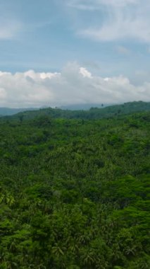 Orman ve ormanlı yeşil dağ. Mavi gökyüzü ve bulutlar. Mindanao, Filipinler. Dikey görünüm.