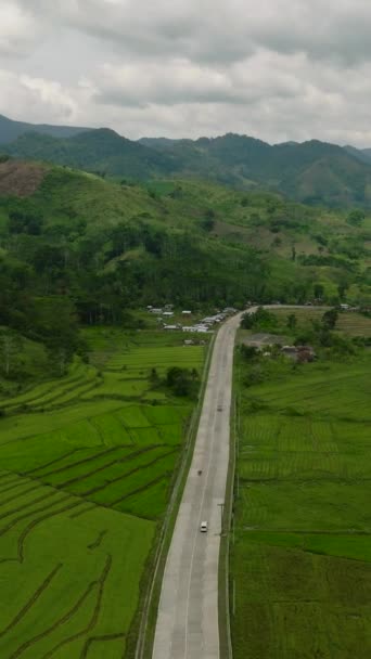農地とパディフィールドの間の山道 フィリピン ミンダナオ 垂直ビュー — ストック動画