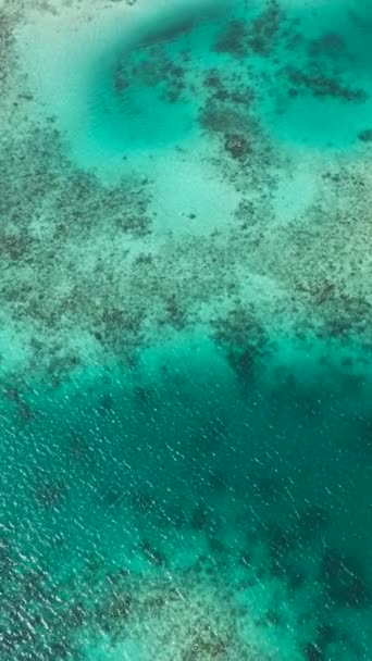 Bovenaanzicht Van Koraalriffen Lagunes Met Zonlicht Reflectie Het Oceaanwater Surigao — Stockvideo