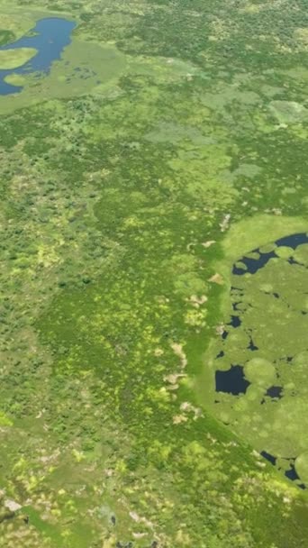 阿古桑沼泽地有森林和植被 湖泊和池塘的湿地 菲律宾棉兰老岛 纵向观点 — 图库视频影像
