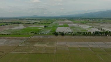 Filipinler 'deki tropik tarım arazileri. Mindanao..
